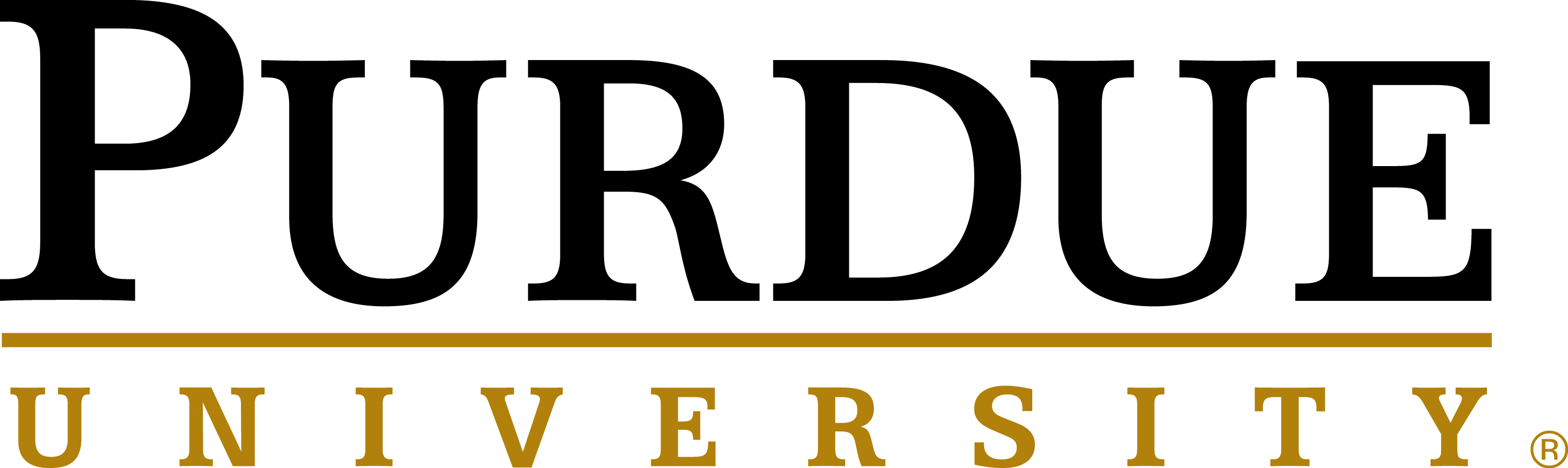 Digiware Logo